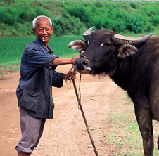 小型飼料顆粒機,農(nóng)民圓夢！